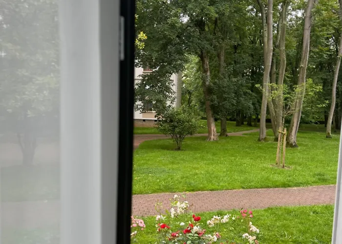 Une Chambre Dans Un Appartement