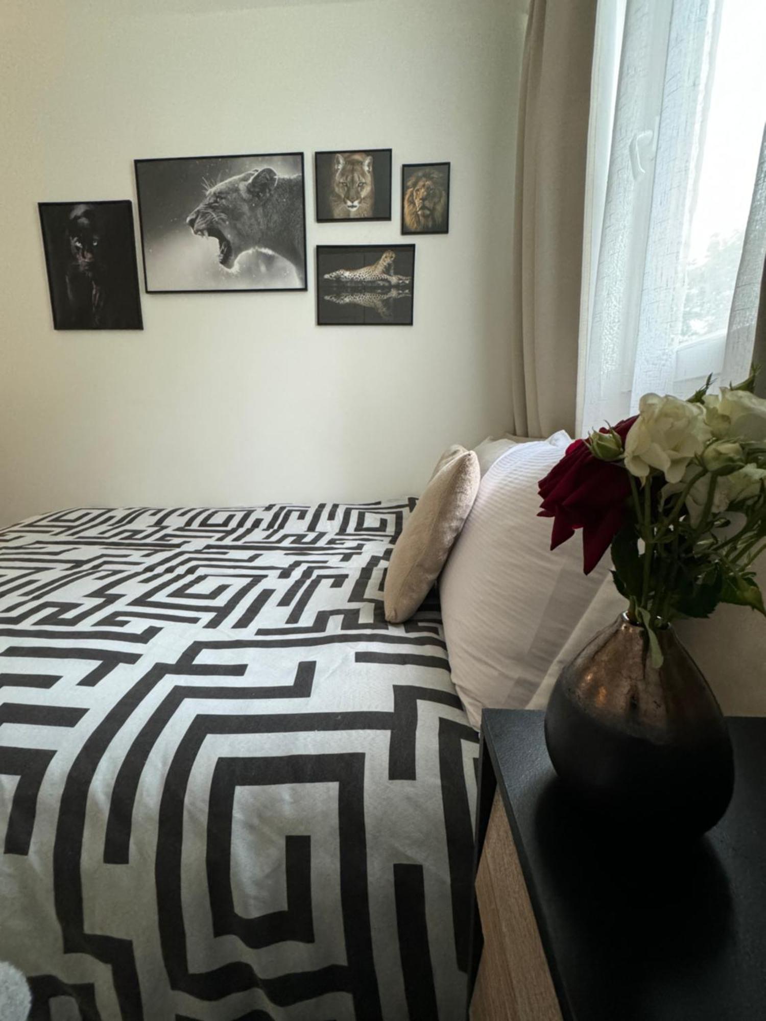 Homestay Dans Un