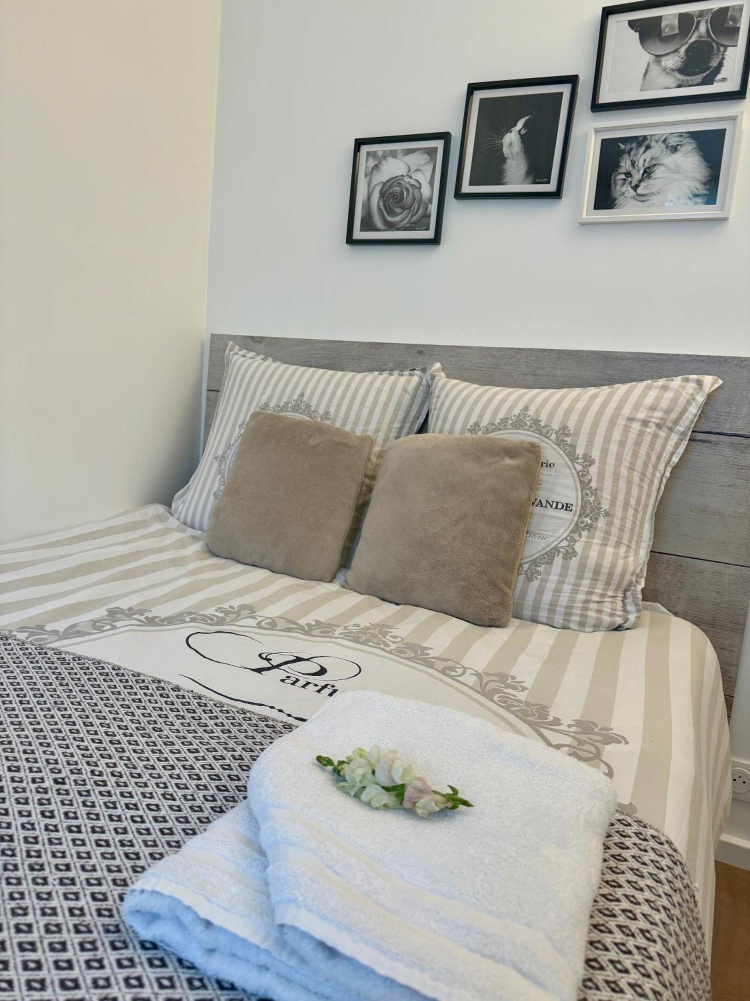 Homestay Dans Un *