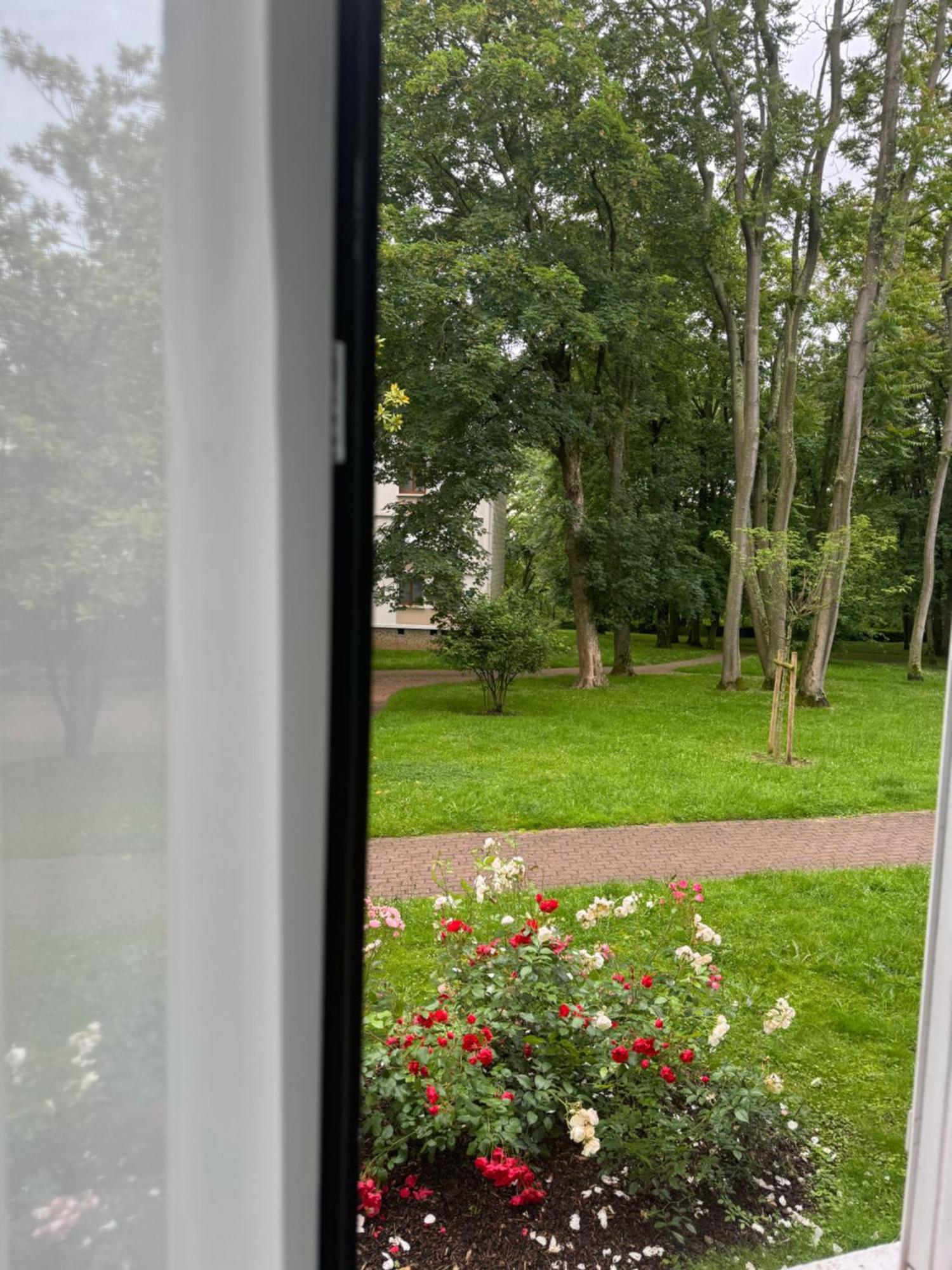 Homestay Dans Un *